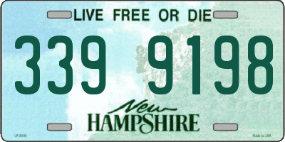 NH license plate 3399198
