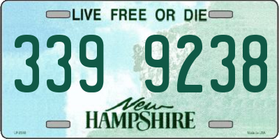 NH license plate 3399238