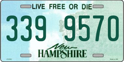 NH license plate 3399570