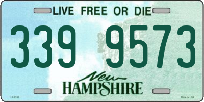 NH license plate 3399573