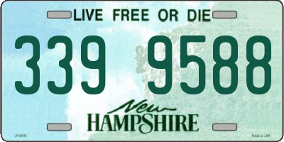 NH license plate 3399588