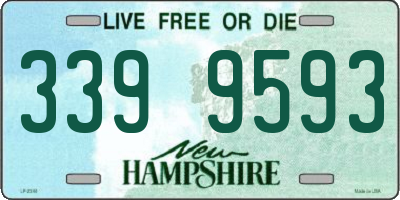 NH license plate 3399593