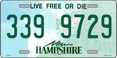 NH license plate 3399729