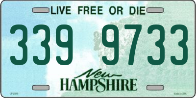 NH license plate 3399733