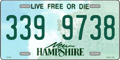 NH license plate 3399738