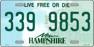 NH license plate 3399853