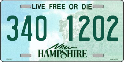NH license plate 3401202