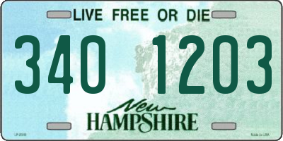 NH license plate 3401203