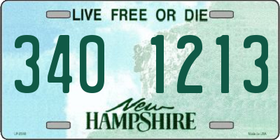 NH license plate 3401213