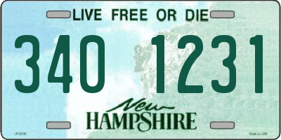 NH license plate 3401231