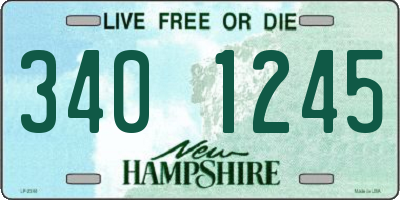 NH license plate 3401245