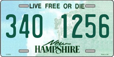 NH license plate 3401256