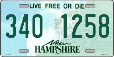 NH license plate 3401258