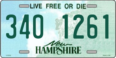 NH license plate 3401261