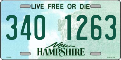 NH license plate 3401263