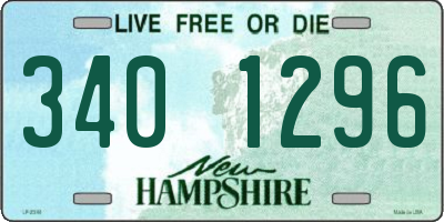 NH license plate 3401296