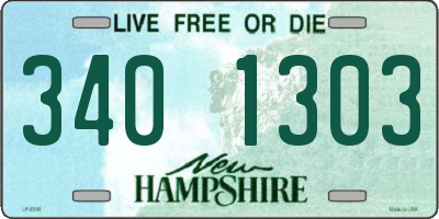 NH license plate 3401303