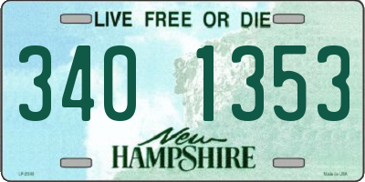 NH license plate 3401353