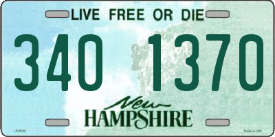 NH license plate 3401370