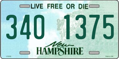 NH license plate 3401375