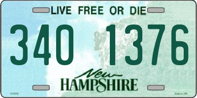 NH license plate 3401376
