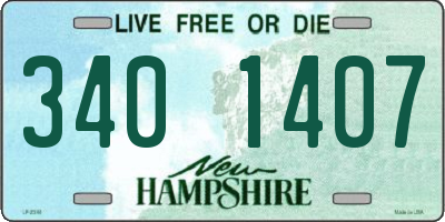NH license plate 3401407
