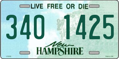 NH license plate 3401425