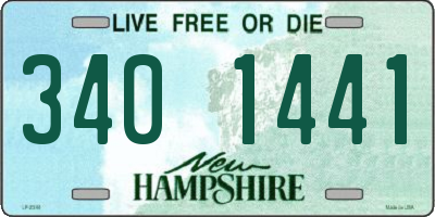 NH license plate 3401441