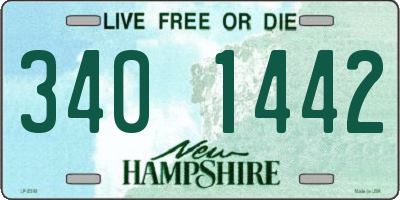 NH license plate 3401442