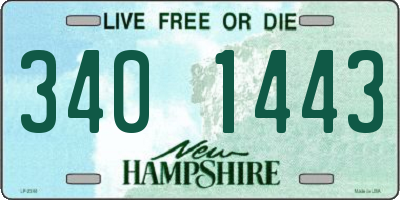 NH license plate 3401443