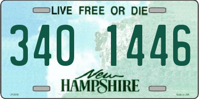 NH license plate 3401446