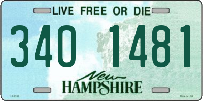 NH license plate 3401481