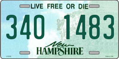 NH license plate 3401483