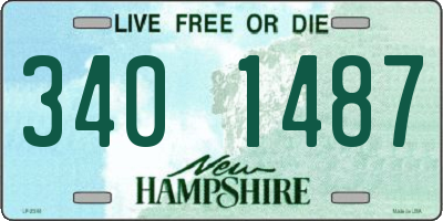 NH license plate 3401487