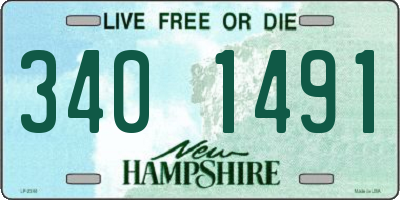 NH license plate 3401491