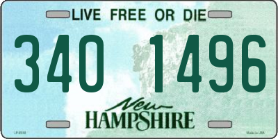 NH license plate 3401496