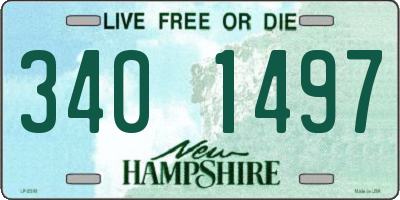 NH license plate 3401497