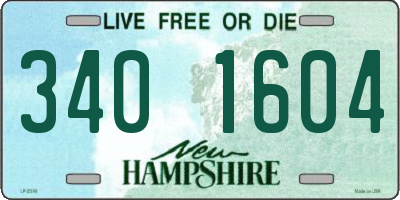 NH license plate 3401604