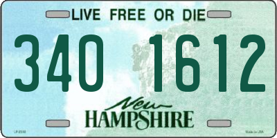 NH license plate 3401612