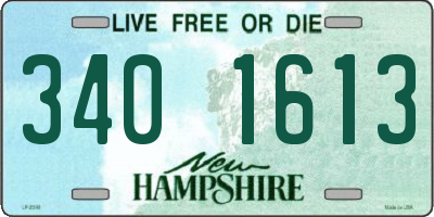 NH license plate 3401613