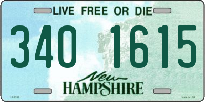 NH license plate 3401615