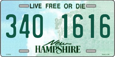 NH license plate 3401616