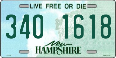 NH license plate 3401618