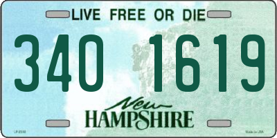 NH license plate 3401619