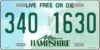 NH license plate 3401630