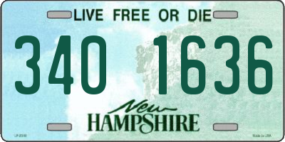 NH license plate 3401636
