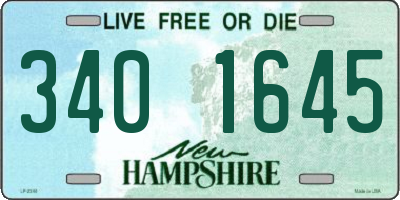 NH license plate 3401645