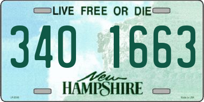 NH license plate 3401663