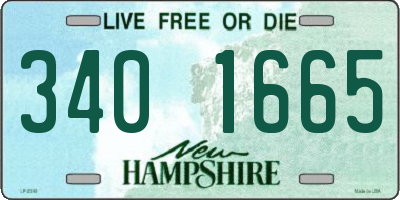 NH license plate 3401665