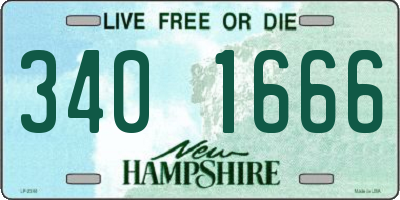 NH license plate 3401666
